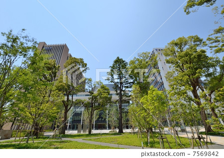 University located in the city of Nakano Seiji (Nakano Ward, Tokyo) University located in the city of Nakano Seiji (Nakano Ward, Tokyo) 7569842