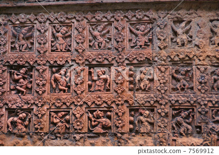 Petitia精心解脫 7569912