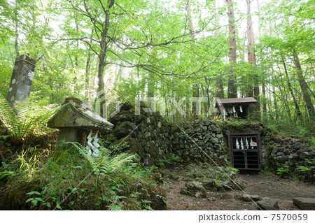 Yoshida 's Inner Tree Type Yoshida 's Inner Tree Type 7570059