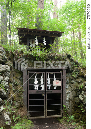 Yoshida 's Inner Tree Type 7570060