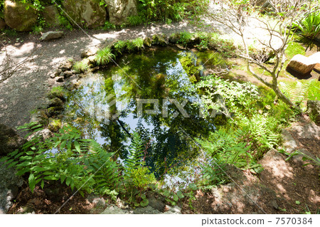 忍野八海岡卷 忍野八海岡卷 7570384