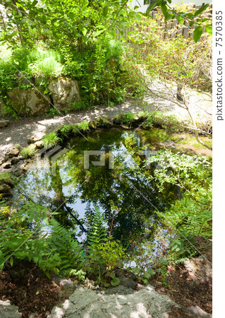 忍野八海岡卷 忍野八海岡卷 7570385