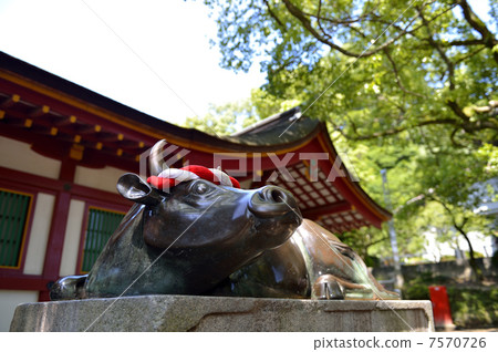 Cow of Dazaifu Tenman-gu 7570726