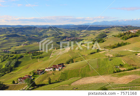 Green hills and vineyards of Piedmont, Italy. 7571168