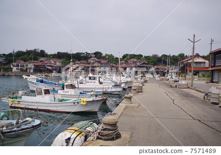 Bush clover Bush clover 7571489