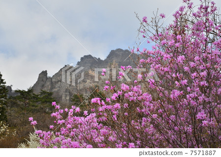 Magnificent mountain of spring Magnificent mountain of spring 7571887
