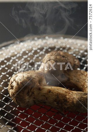  烤松茸 7572614