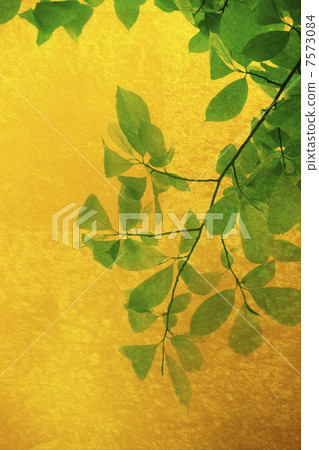 Gold screen and fresh green background 7573084