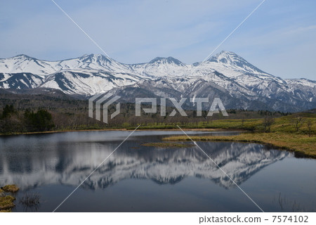 Shiretoko Gumo 7574102