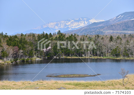 Shiretoko Gumo Shiretoko Gumo 7574103