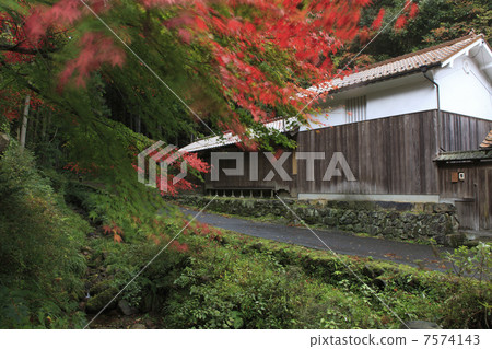 Iwami Ginzan的城市景觀 7574143