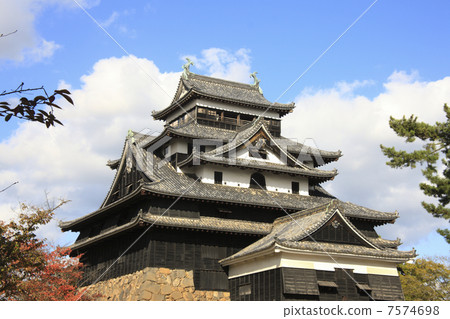 Matsue Castle 7574698