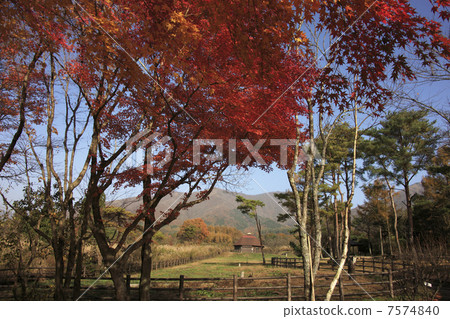 山在秋天秋天 7574840
