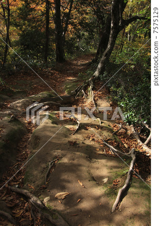 Road to the entrance hall 7575129