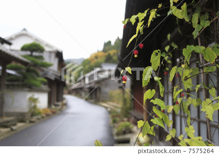 Townscape of Iwami Ginzan 7575264