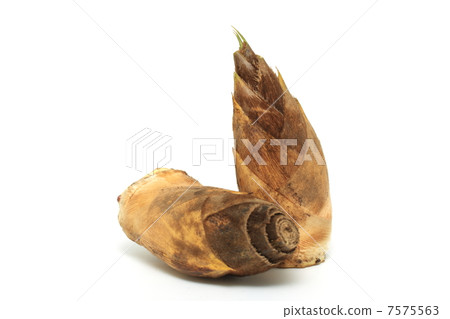 Bamboo shoot Bamboo shoot 7575563