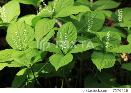 第二個人 第二個人 7576416