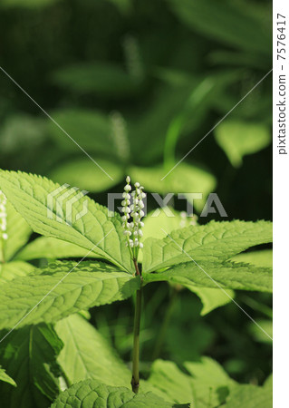 第二個人 第二個人 7576417