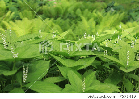 第二個人 第二個人 7576419