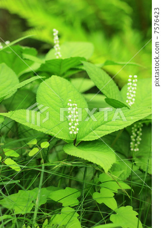 第二個人 第二個人 7576423