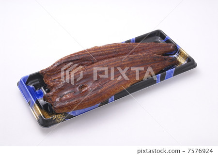 eel eel 7576924