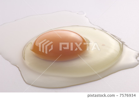Egg Egg 7576934