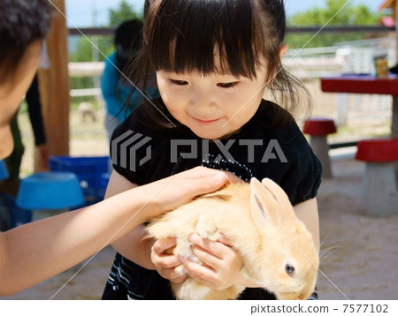 It's a cute rabbit! What a pretty Rabbit! It's a cute rabbit! What a pretty Rabbit! 7577102
