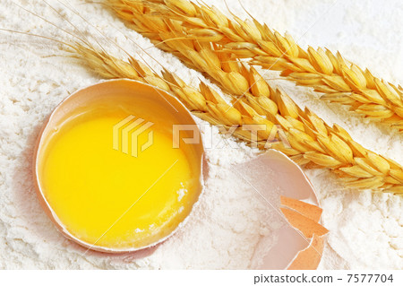 Spikelets of wheat on flour spillage.Isolated. 7577704