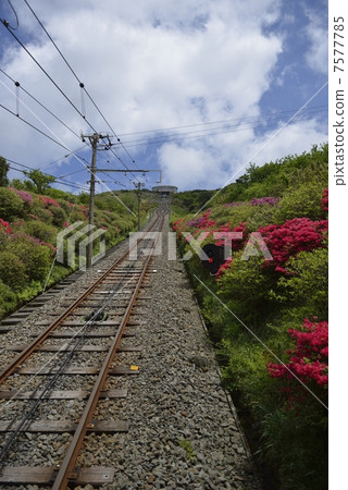 Toku way Pass road 7577785