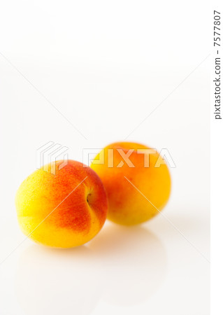 成熟的李子 7577807