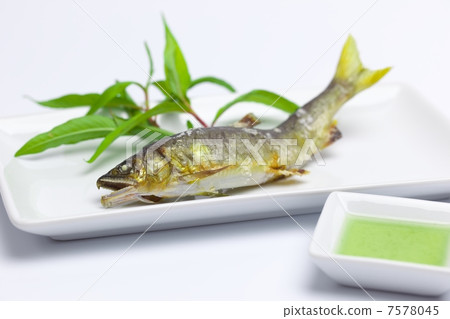 鹽烤三文魚 鹽烤三文魚 7578045