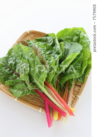Swiss Chard Swiss Chard 7579908