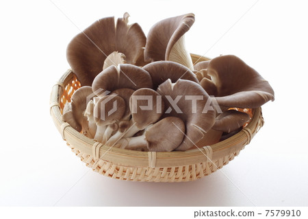 Abalone mushroom Abalone mushroom 7579910