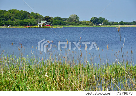 Walking through Takara Izumi · Tama Towns Panorama Landscape Walking through Takara Izumi · Tama Towns Panorama Landscape 7579973