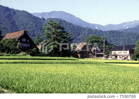 Shirakawago summer morning 7580788