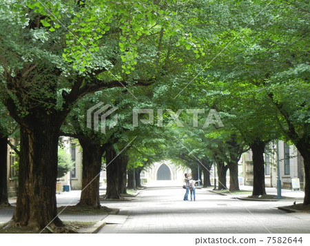 樹行 樹行 7582644