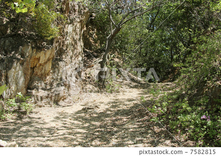 山路 7582815