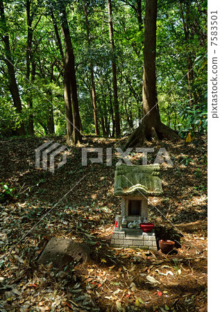 A walk around Tataranuma and the remains of the old castle 7583501