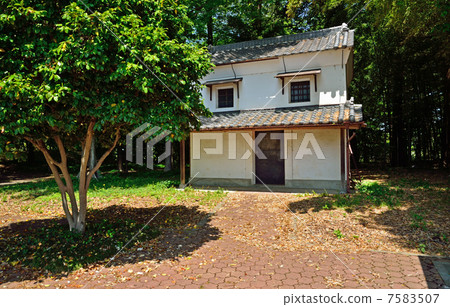 在Tataranuma和舊城堡的遺跡周圍散步 7583507