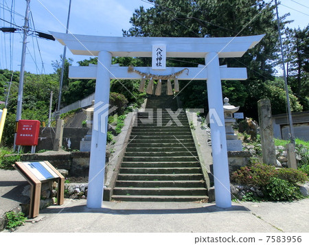 六月上島 7583956