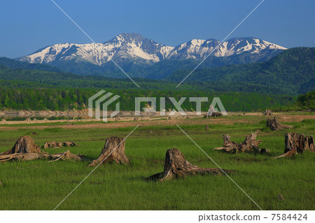 Stump and Mount Nipetsotsu Stump and Mount Nipetsotsu 7584424