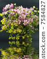 wild flowers with reflection in water 7584827