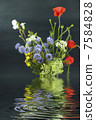 wild flowers with reflection in water 7584828