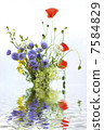 wild flowers with reflection in water 7584829