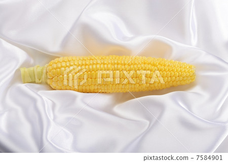 Corn 7584901