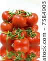 fresh red tomato vegetables with reflection in water 7584903