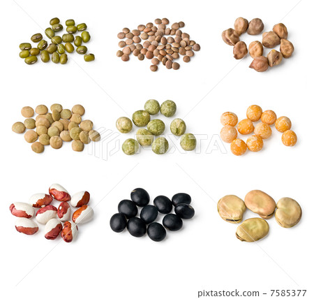 mix of bean and pea mix of bean and pea 7585377