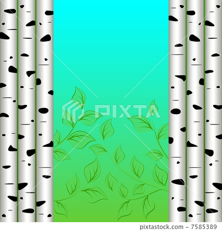 Birch background Birch background 7585389
