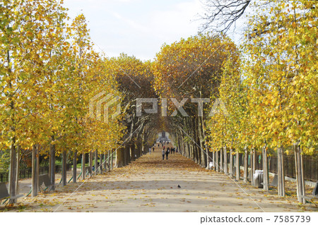 巴黎植物園le Jardin des Plantes de Paris 巴黎植物園le Jardin des Plantes de Paris 7585739