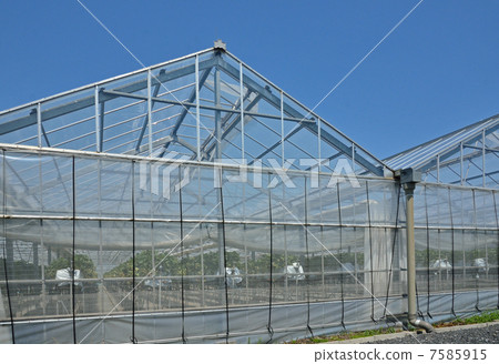 Takanori marsh walk · Roof type hard film greenhouse Tamagarinuma rural park 7585915